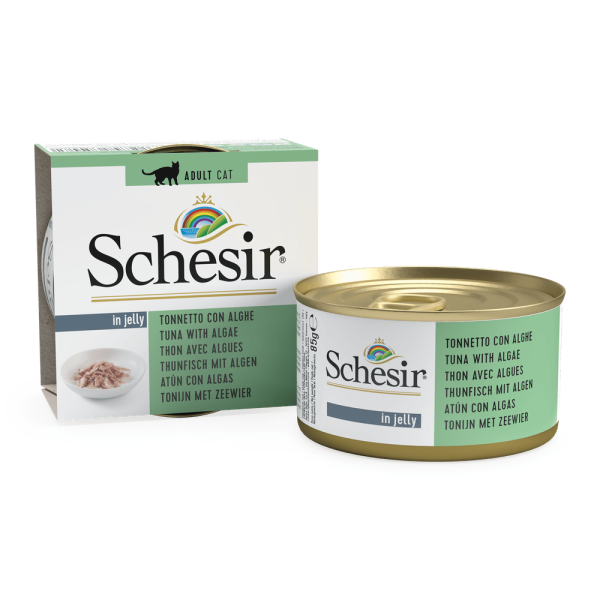 Schesir Cat Dose Jelly Thunfisch und Algen 85g